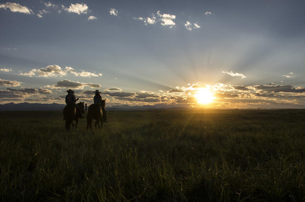 lonesome cowgirls