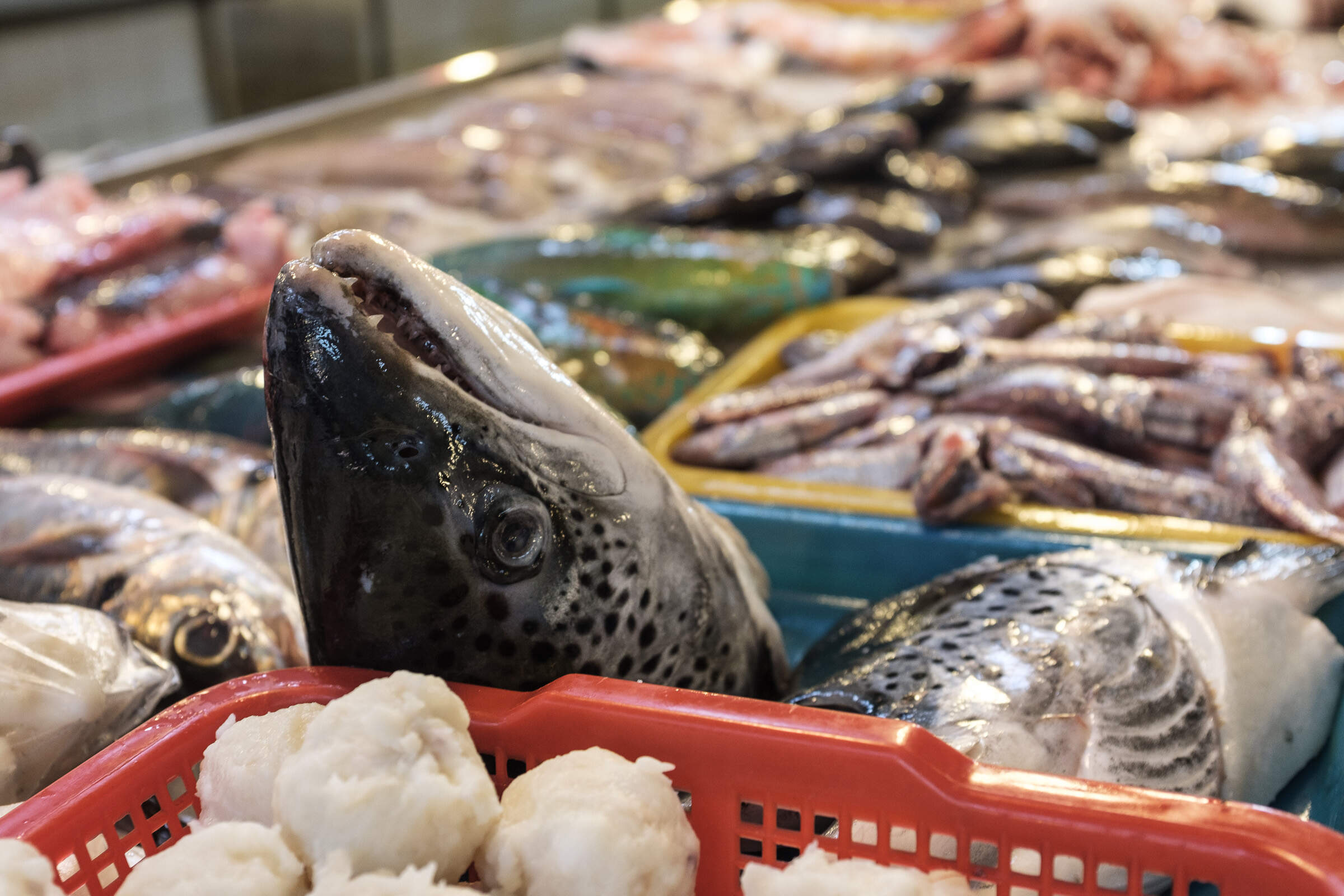 food at market