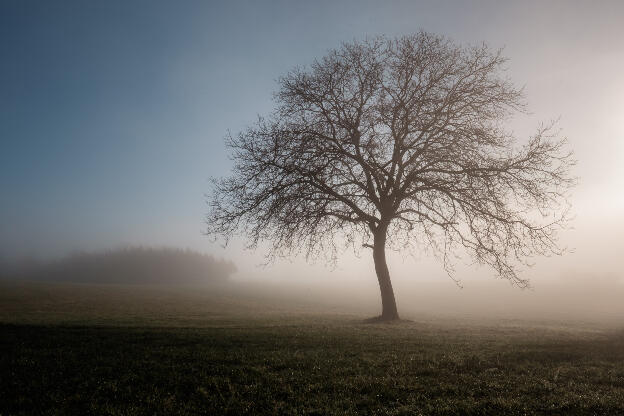 descending fog