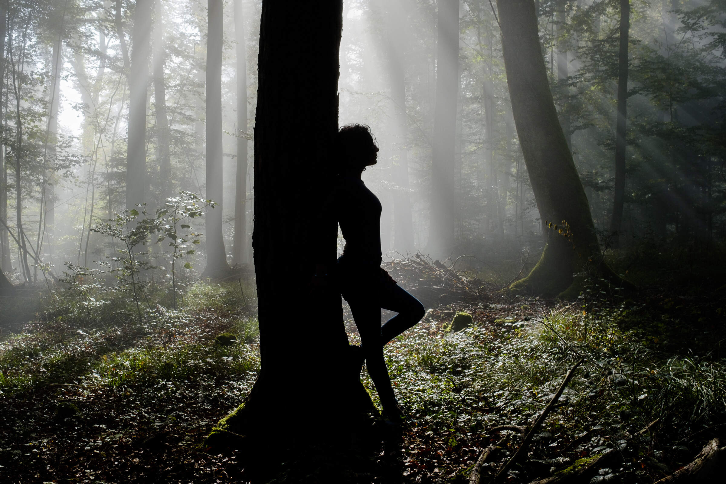 silhouettes