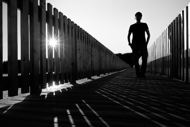 silhouette and shadows