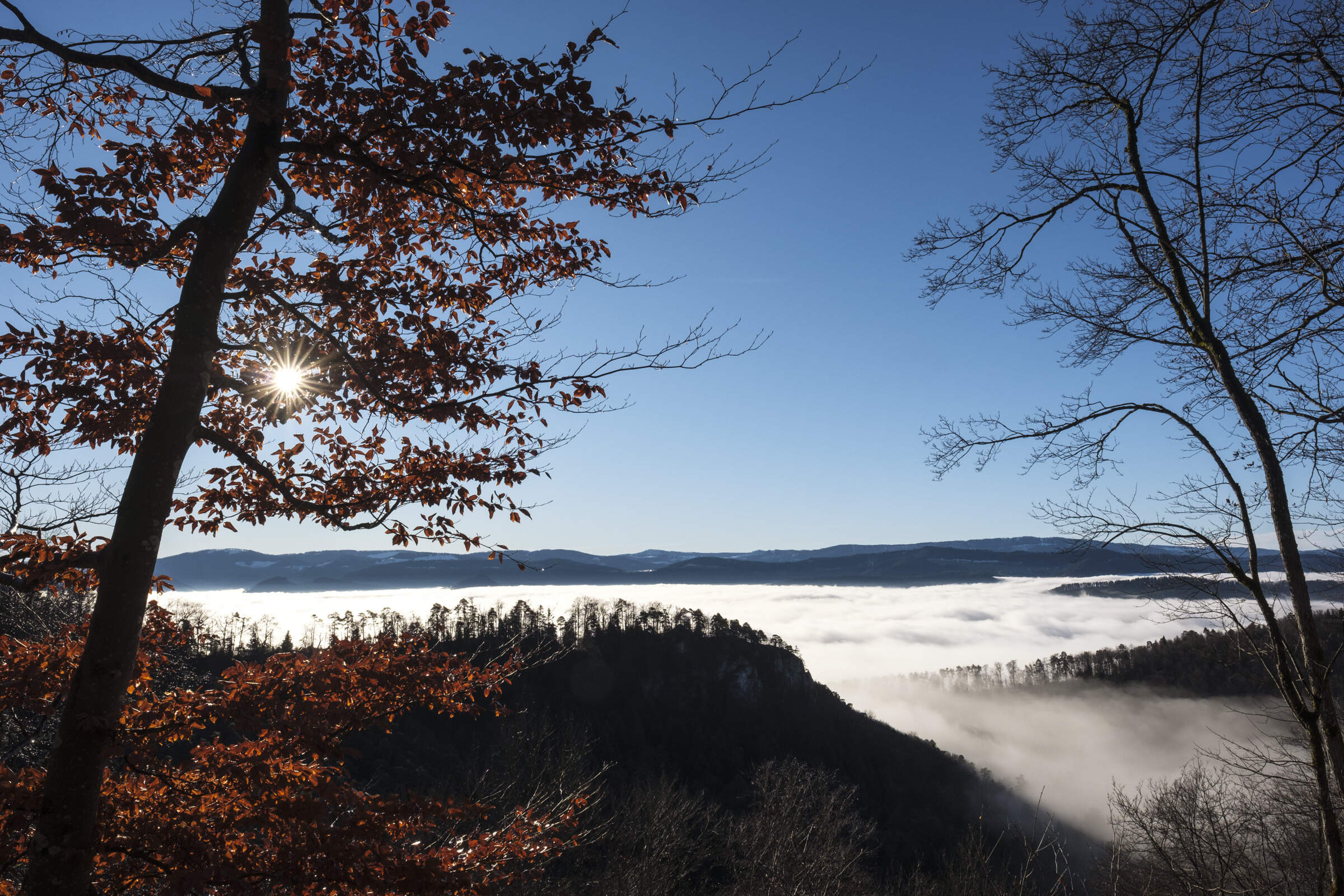 beautiful landscapes