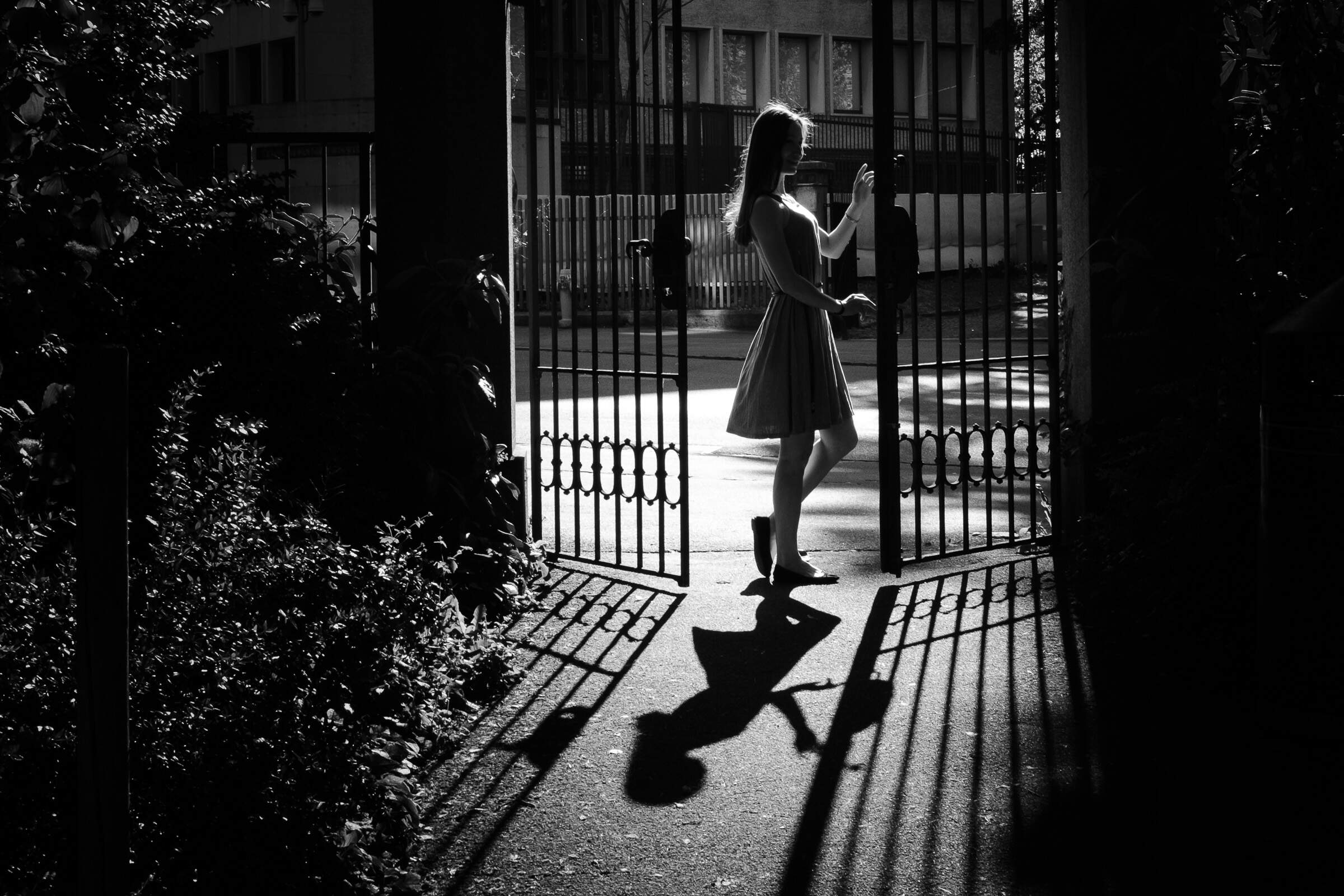 shadows